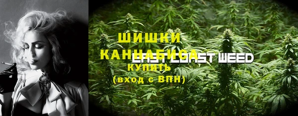 эйфоретик Беломорск